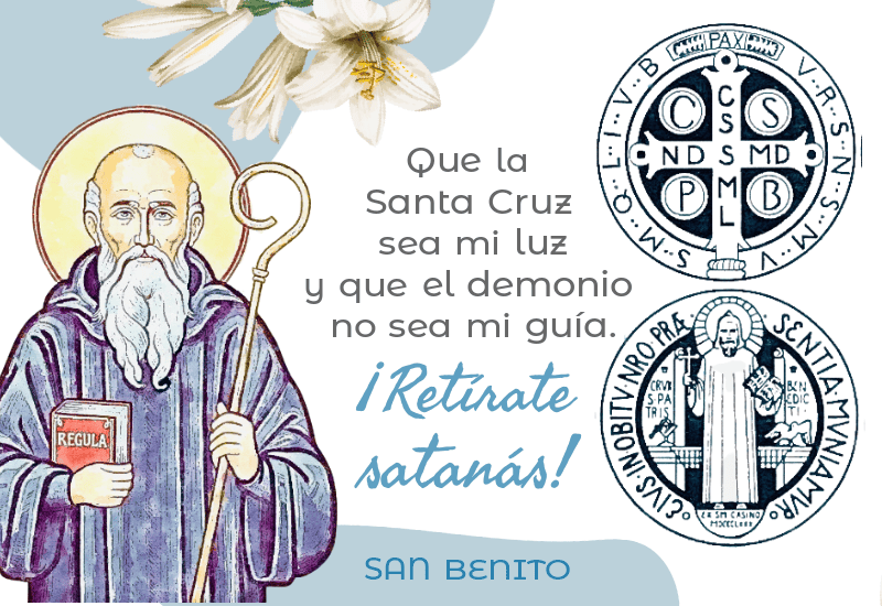 San Benito - Flor de Lis